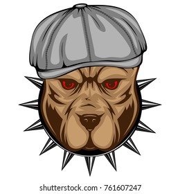 Abstract vector color illustration portrait of fighting dogs. Head of dog breed pit bull in cap and collar with spikes. 