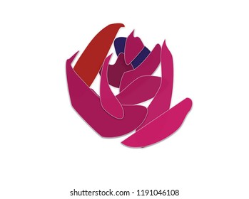Abstract Vector colorful flower blooming on white background. Floral decorative elements are isolated and editable for wedding decoration,valentines day, mother’s day, sales other...