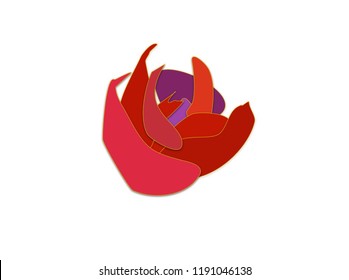 Abstract Vector colorful flower blooming on white background. Floral decorative elements are isolated and editable for wedding decoration,valentines day, mother’s day, sales other...