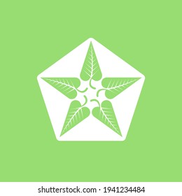 Abstract vector design element - star with leafs inside pentagon. Logo of leaves in the form of a star.