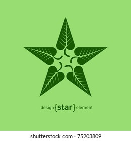 Abstract vector design element star with green summer leafs. Company logo template