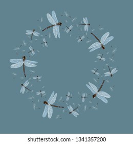 abstract vector dragonfly s and dandelion seeds frame .