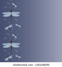 abstract vector dragonfly s and dandelion seeds background