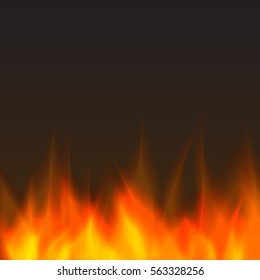 abstract vector fire background