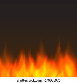 abstract vector fire background