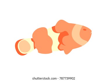 abstract vector fish