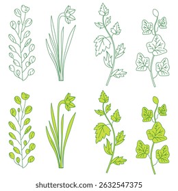 Abstract vector flower clipart design isolated on white background. Collection of spring flower clipart. Floral illustration set on clip art, leaf, tulip, lily, orchid. Vector flower with leaves