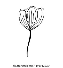Resumen del dibujo de la flor vectorial. Ilustración dibujada a mano en blanco y negro