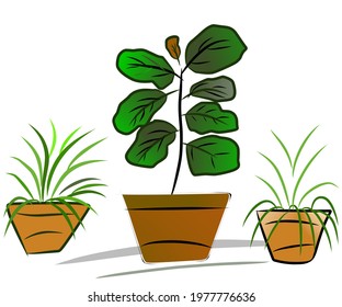 abstract vector flower plant design