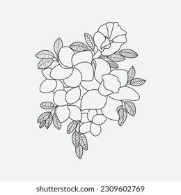 Abstract vector flowers coloring page
