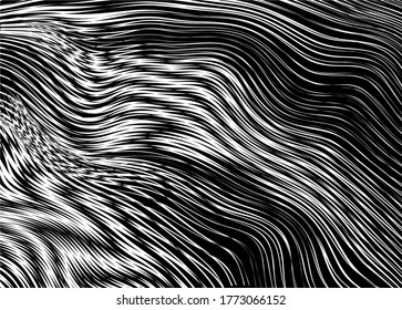 Abstract vector fur from thin wavy white lines on a black background. Modern vector pattern