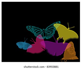 Abstract Vector Graphic of Butterflies on Black Background