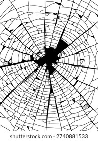 Abstract vector graphic featuring a radial broken glass effect with shattered fragments emanating from a dark center, creating a dynamic visual design