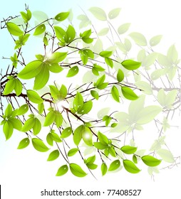 Abstract vector green leaves floral background.