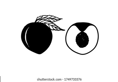 Abstrakte Vektorschmutzspritzer Silhouette Zeichnung einer pfirsichfarbenen Frucht mit Blättern und einem halben Aprikose.Schwarz-Weiß einzelne Illustration.Sommerkollektion für T-Shirts.Dekoration Element.