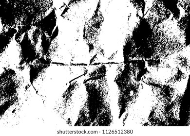 abstract vector grunge texture of crumpled paper