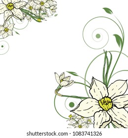 Abstract vector  hand drawing  Narcissus flower background. Flower invitation, save the date card template, abstract elegant pattern ector design editable. Floral design