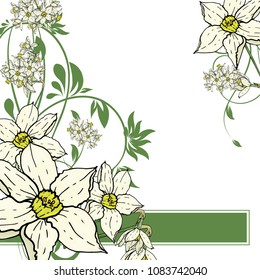 Abstract vector  hand drawing  Narcissus flower background. Flower invitation, save the date card template, abstract elegant pattern ector design editable. Floral design