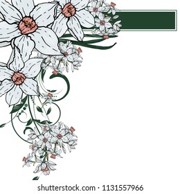 Abstract vector  hand drawing  Narcissus flower background. Flower invitation, save the date card template, abstract elegant pattern ector design editable. Floral design