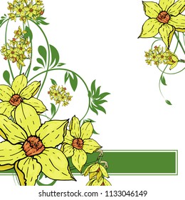 Abstract vector  hand drawing  Narcissus flower background. Flower invitation, save the date card template, abstract elegant pattern ector design editable. Floral design
