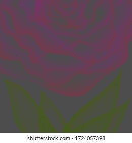 Abstract vector handmade alcohol ink fluid watercolor image. Red rose illustration. 3d fluid flow shape. Color isolated pink, green splash in modern style, transparent texture.