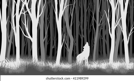 Abstract vector horizontal illustration of night forest with trees and wolf.