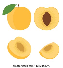 Abstract vector icon illustration of logo for whole ripe fruit orange apricot, cut sliced. Apricot pattern consisting of label, natural design, sign tropical food. Eat sweet fresh raw fruits apricots