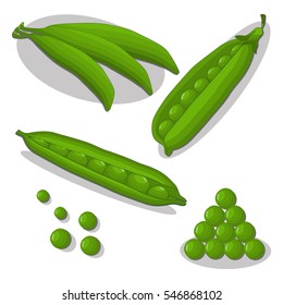 Abstract vector icon illustration logo for whole ripe vegetables round peas, green stem leaf, cut sliced on white background. Pea pattern consisting of label, peel pip, rope food. Eat fresh raw pea.