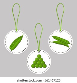 Abstract vector icon illustration logo for whole ripe vegetables round peas, green stem leaf, cut sliced on white background. Pea pattern consisting of label, peel pip, rope food. Eat fresh raw pea.