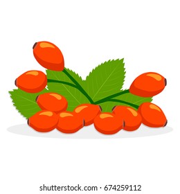 Abstract vector icon illustration logo for whole ripe rose hips branch with green leaf in background. Rose Hip pattern consisting of berry label, raw sweet rosehip. Eat fresh red roses hips for health