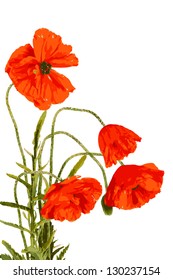 abstract vector ideal for retro backgrounds  in black and white