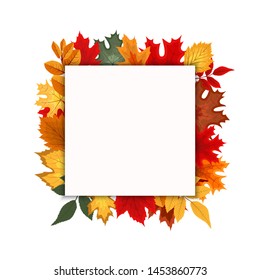Abstract Vector Illustration Autumn Background with Falling Autumn Leaves. EPS10