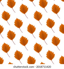 Abstract Vector Illustration Autumn Background with Falling Autumn Leaves. Seamless pattern
