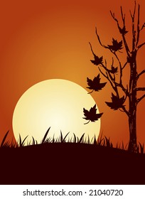 Abstract vector illustration of autumn background