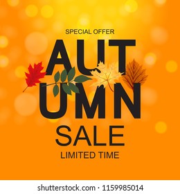 Abstract Vector Illustration Autumn Sale Background with Falling Autumn Leaves. EPS10