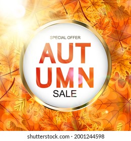 Abstract Vector Illustration Autumn Sale Background with Falling Autumn Leaves. EPS10