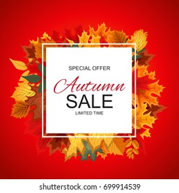Abstract Vector Illustration Autumn Sale Background with Falling Autumn Leaves. EPS10