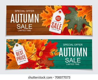 Abstract Vector Illustration Autumn Sale Background with Falling Autumn Leaves. EPS10