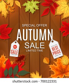 Abstract Vector Illustration Autumn Sale Background with Autumn Leaves and Wood Boards. EPS10