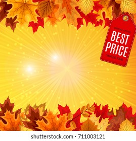 Abstract Vector Illustration Autumn Sale Background with Falling Autumn Leaves. EPS10