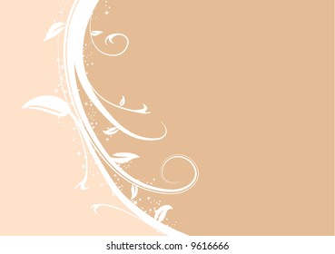 Abstract vector illustration of a background devided white florals