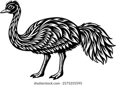 Abstract vector illustration of beautiful  ostrich 