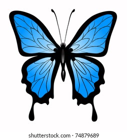 Abstract vector illustration of big beautiful blue butterfly