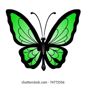 Abstract vector illustration of big green butterfly