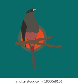 abstract vector illustration of a birt logo.