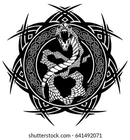 Abstract vector illustration black and white snake with open mouth on round ornament with celtic knots. Design for tattoo or print t shirt.