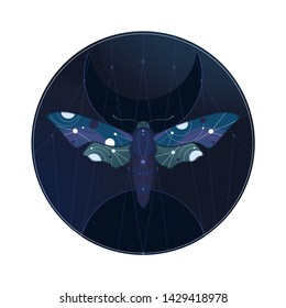 Abstract vector illustration with bright space moths in circle. Colorful vector illustration.