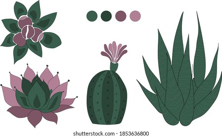 Ilustración vector abstracta de cactus en colores verde y púrpura. 