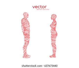 Abstract vector illustration of couple opposite to each other.