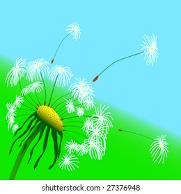 Abstract vector illustration of a dandelion